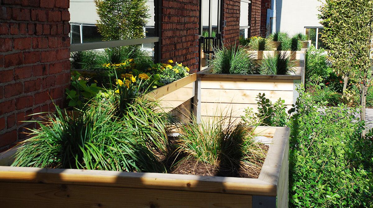 Photograph of wooden window boxes at downtown Kansas City office. Landscape architecture by NSPJ Architects.