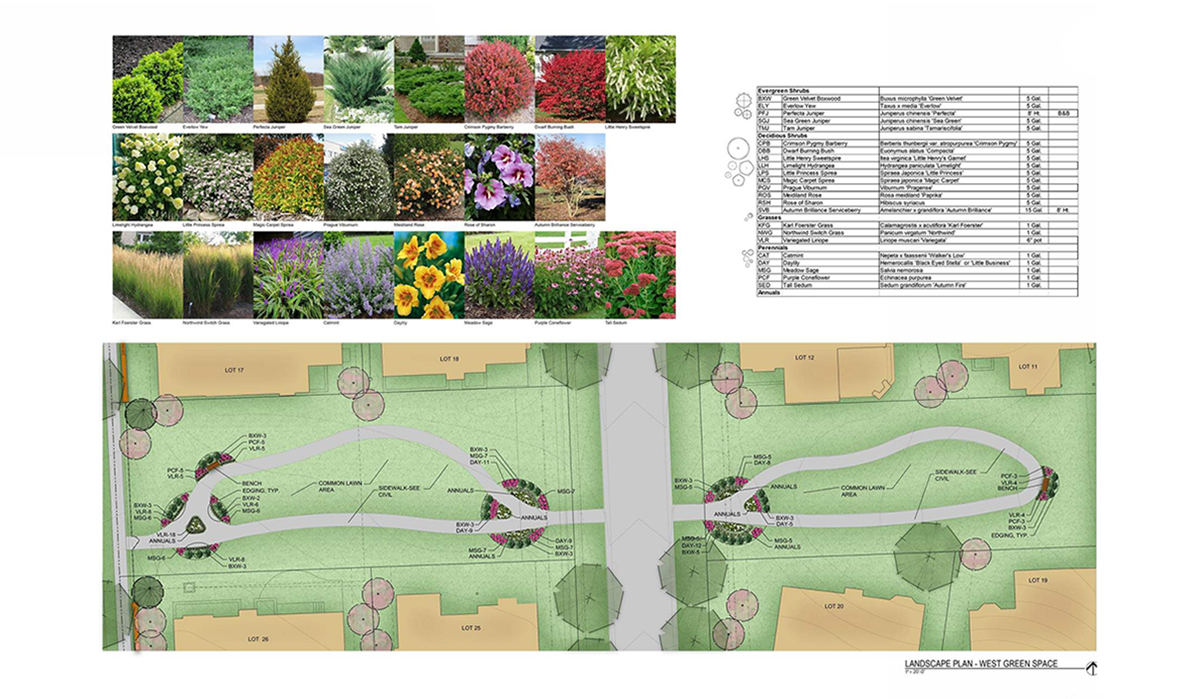 Hallbrook Landscape Planting Plan